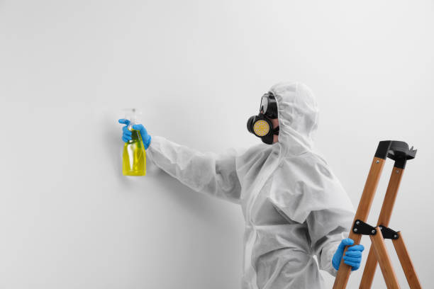 Why You Should Choose Our Mold Remediation Services in Woodbourne, PA